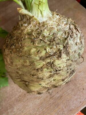 Celeriac - Each