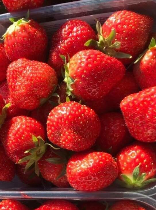 Strawberries
