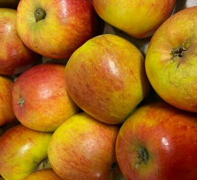 Apples - Coxes (UK) (per kg)