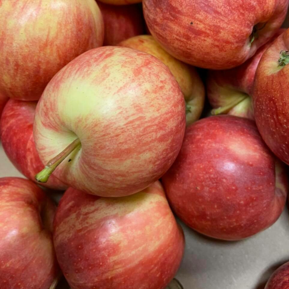 Apples Gala Small (per kg)