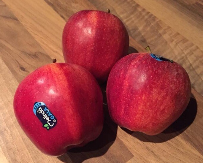 Apples - Gala (per kg)