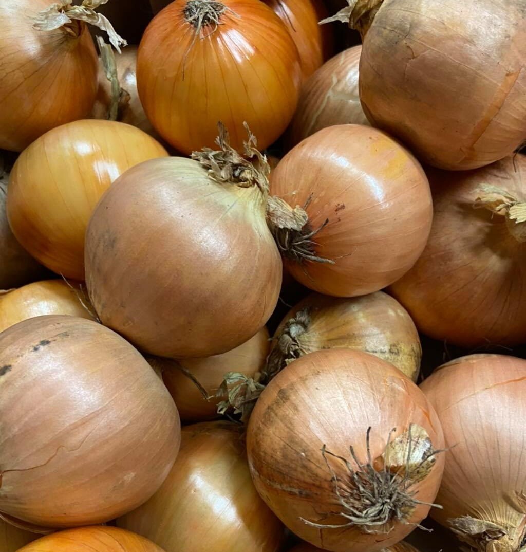 Onions - White/brown cooking onions (per kg)