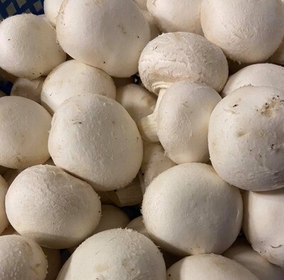 Mushrooms - Cup 300g