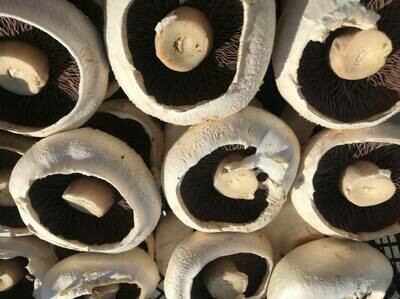 Mushrooms - Flat/Field Mushrooms 500g