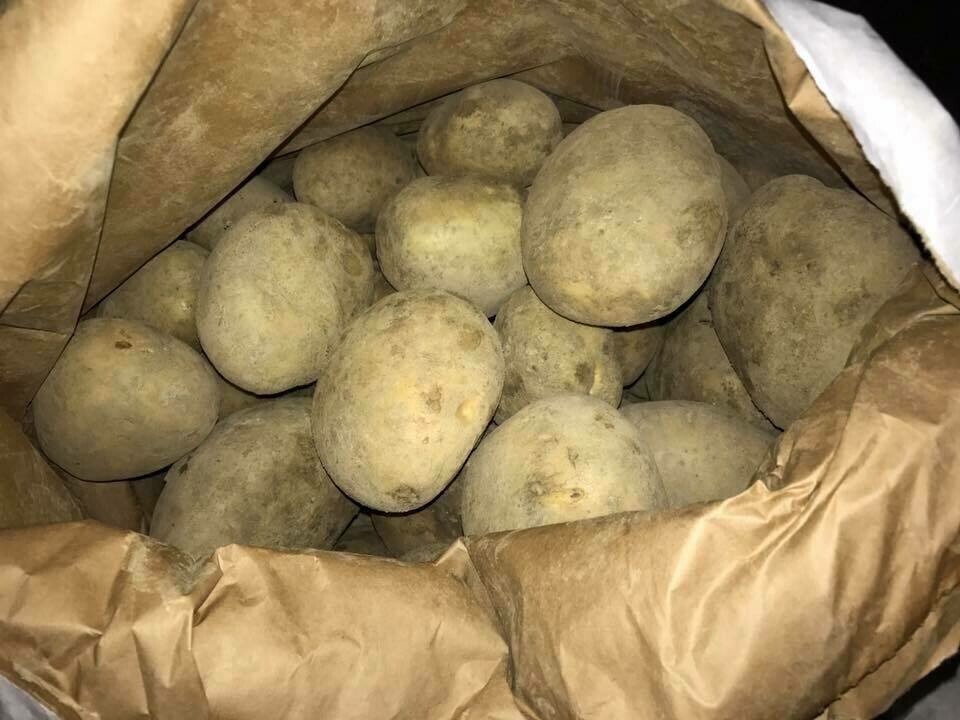 Potatoes Wilja 5kg