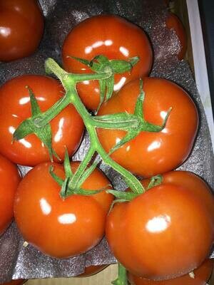Tomatoes - Tomatoes on the Vine