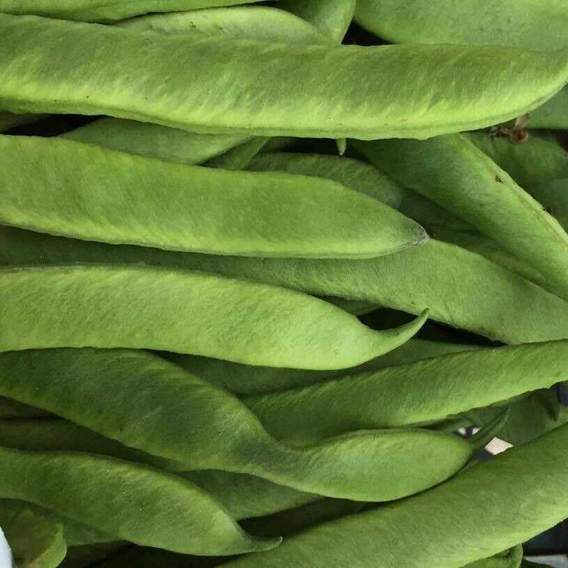 Runner Beans (British) - 500g