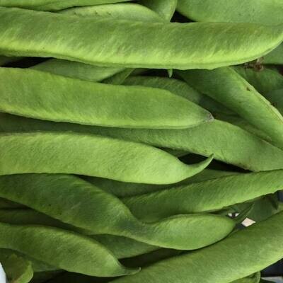 Runner Beans (British) - 500g