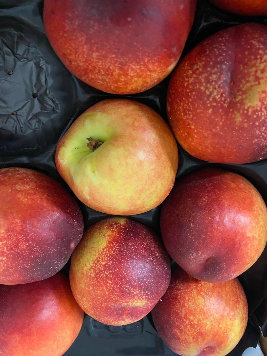 Nectarines - each