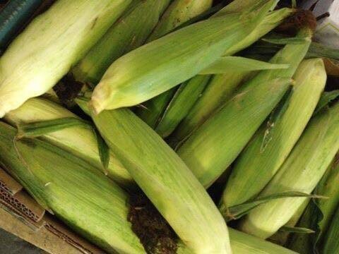 Fresh Individual Corn on  the Cob