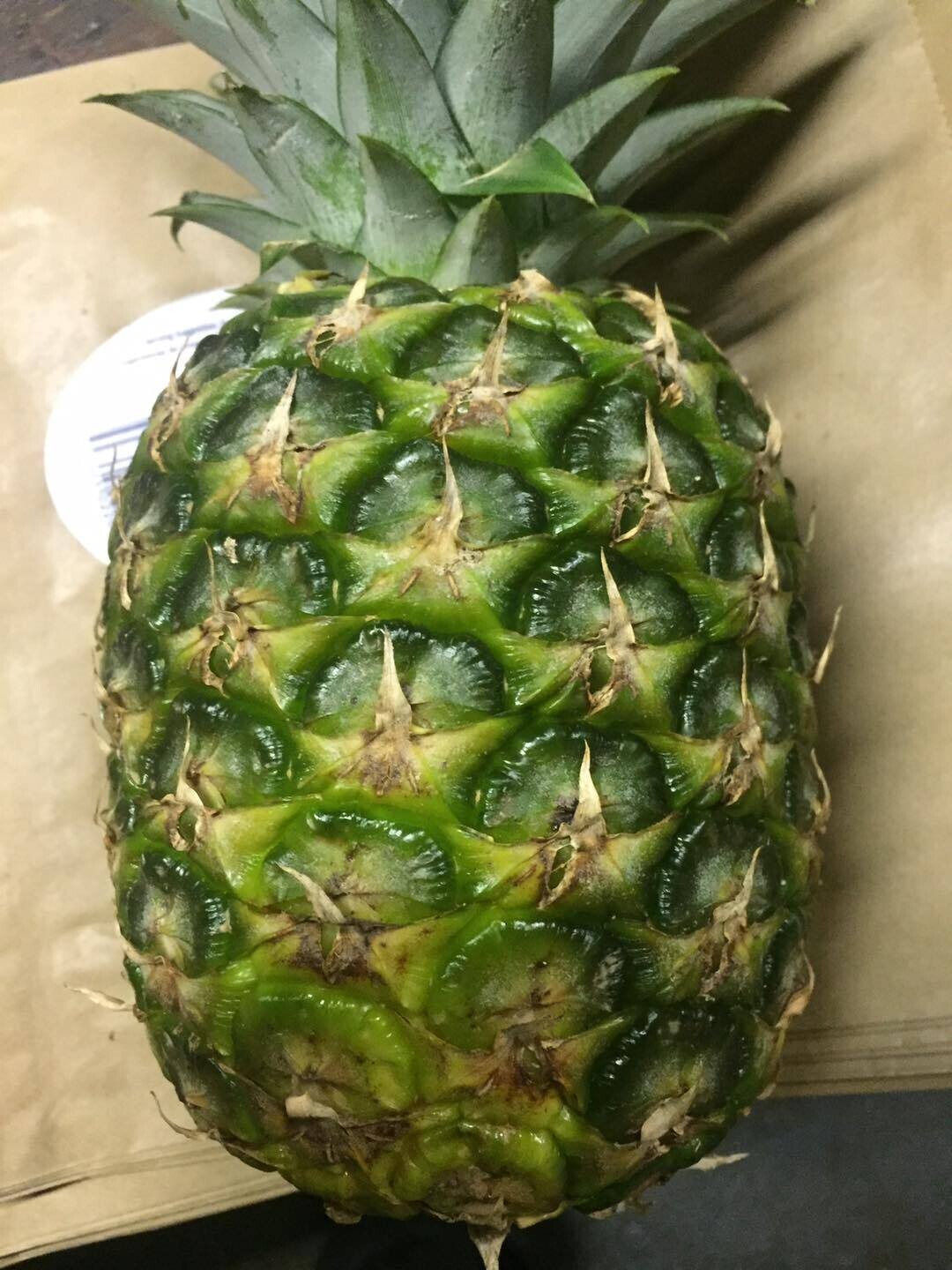 Pineapple