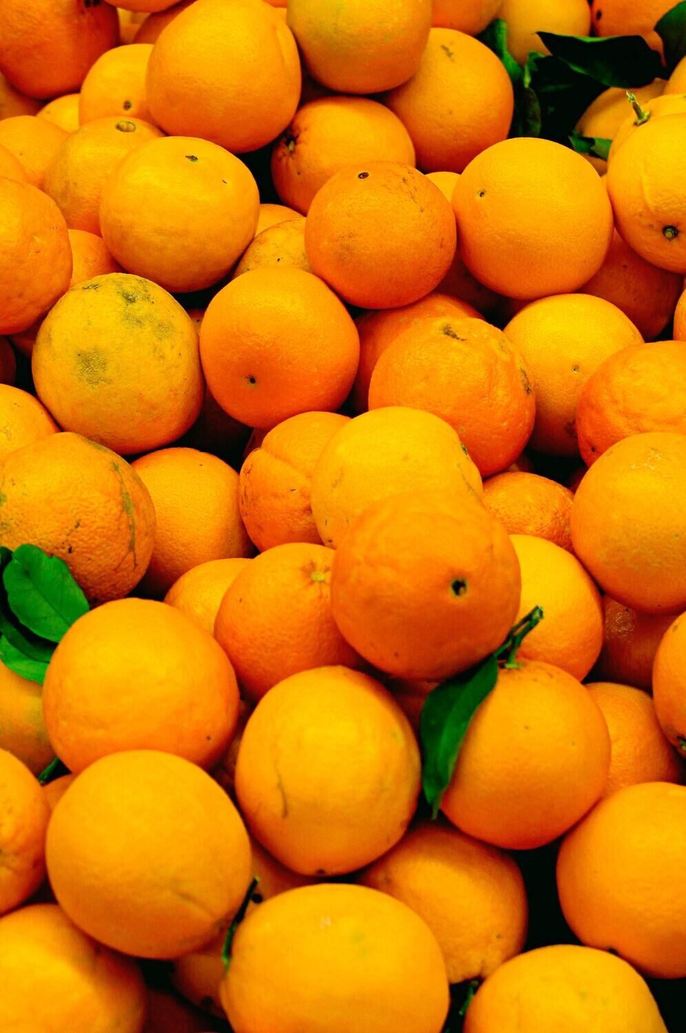Oranges - Seville (per kg)