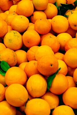 Oranges - Seville (per kg)
