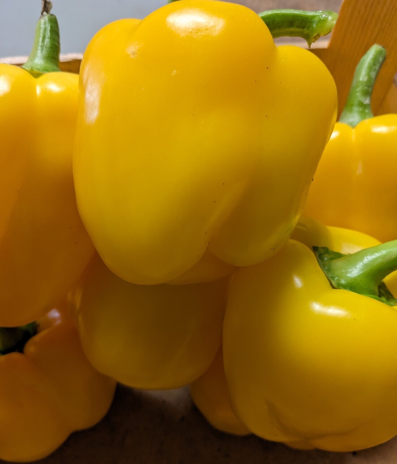 Peppers - Yellow (each)