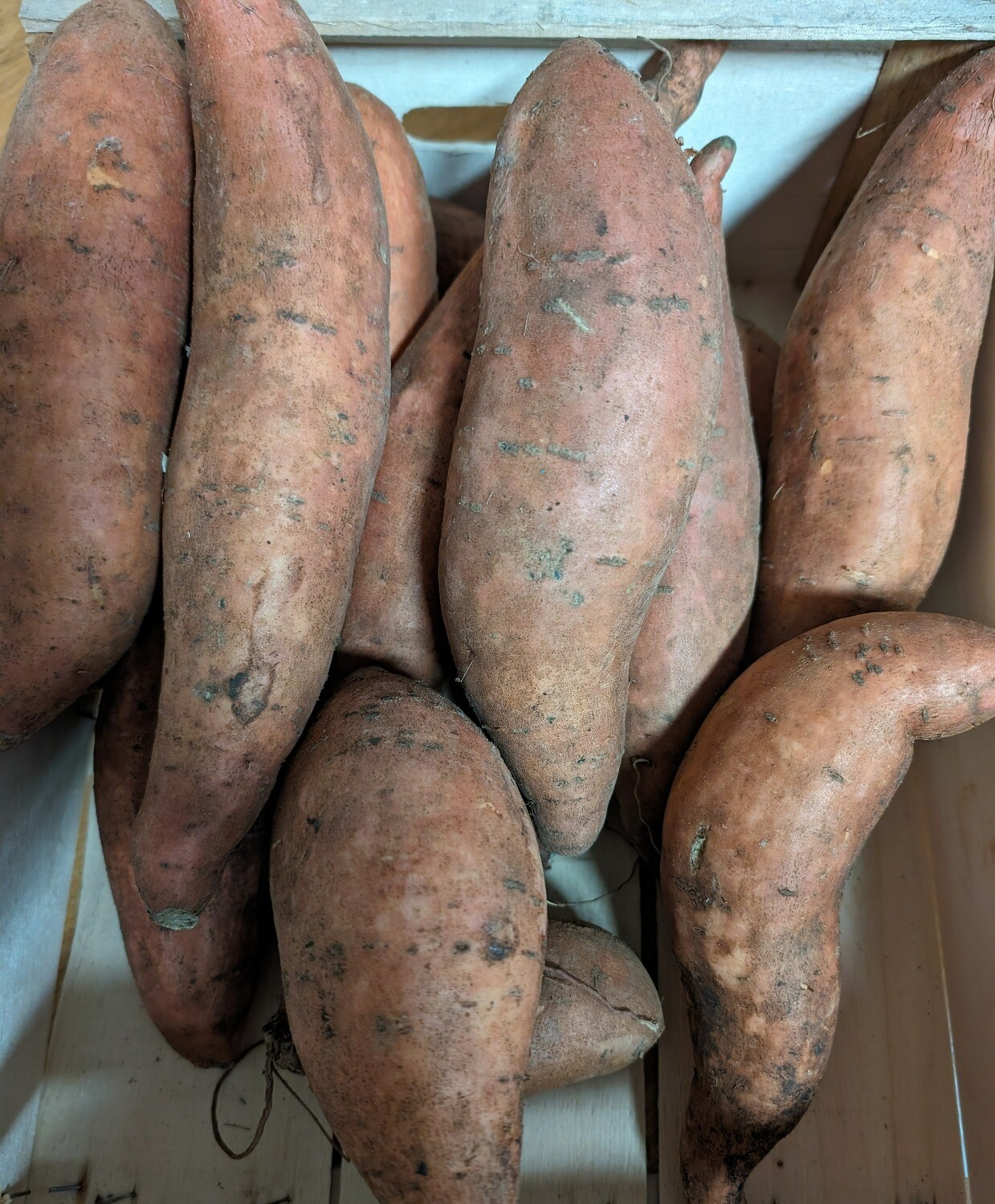 Sweet Potatoes per kg