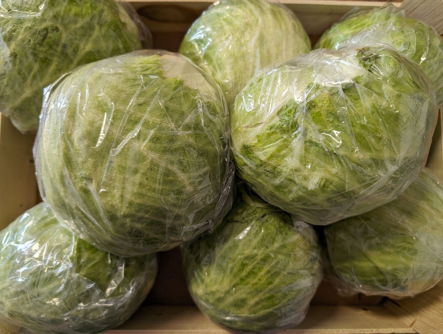 Lettuce - Iceberg (UK)