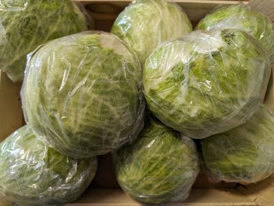 Lettuce - Iceberg (UK)