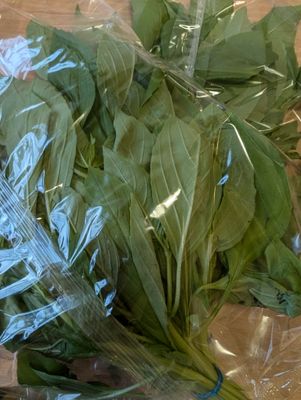 Herbs - Basil