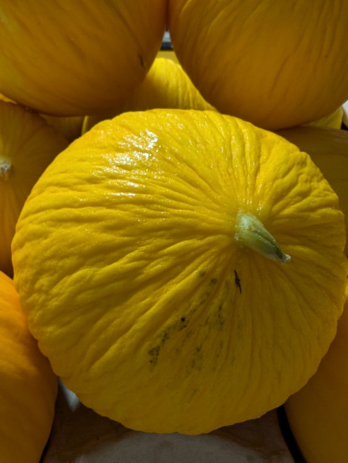Melons -Yellow/ Honeydew