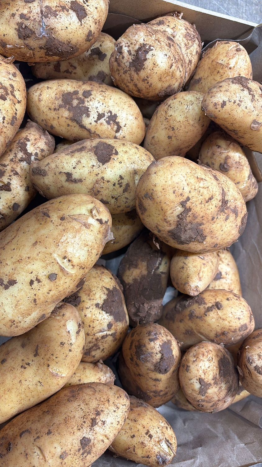 Potatoes - Cypriot New Potatoes per kg