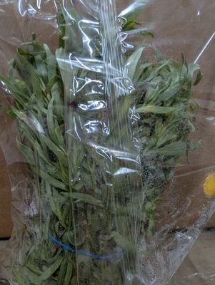 Herbs - Sage