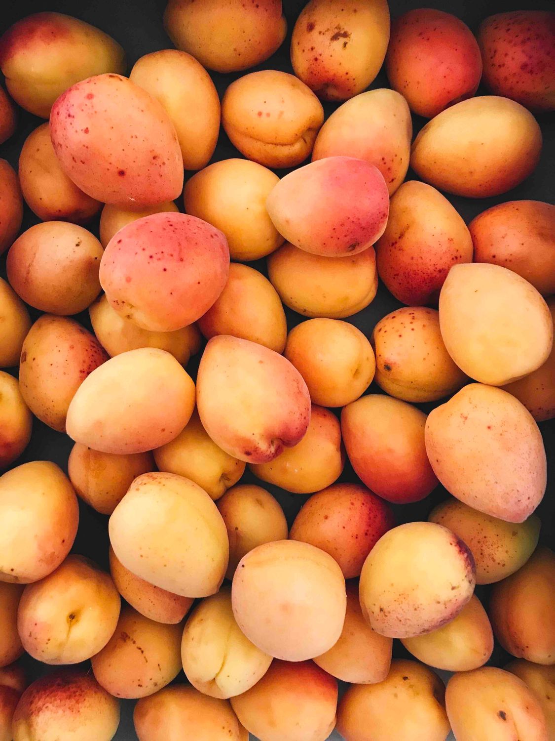 Apricots 500g