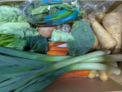 £17 Medium Vegetable Box