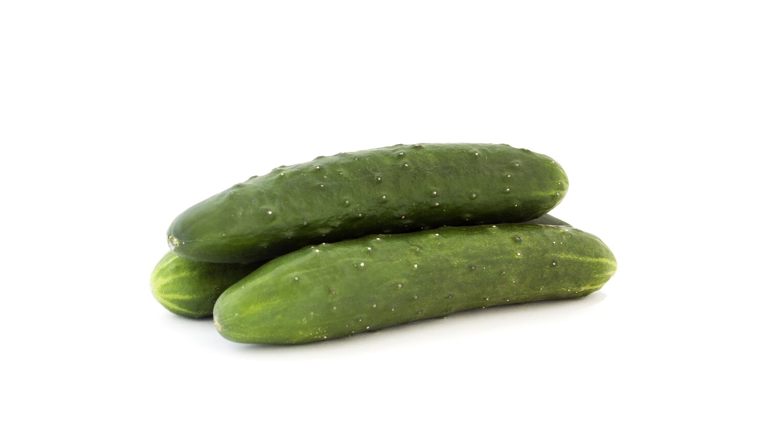 Cucumber