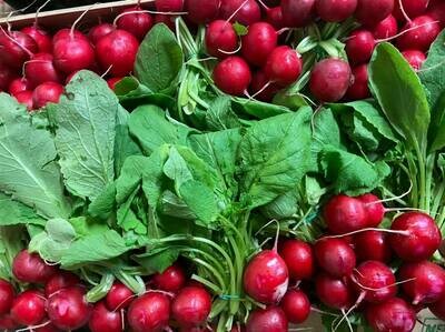 Radish