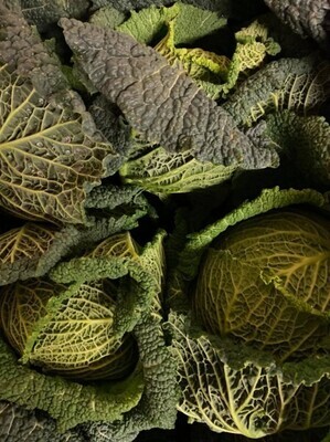 Cabbages - Savoy UK