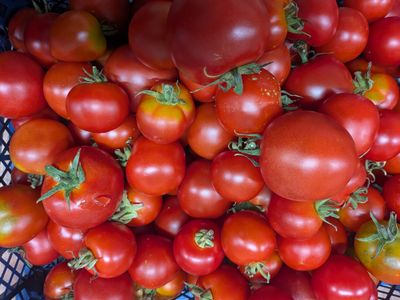 Local Salad Tomatoes
