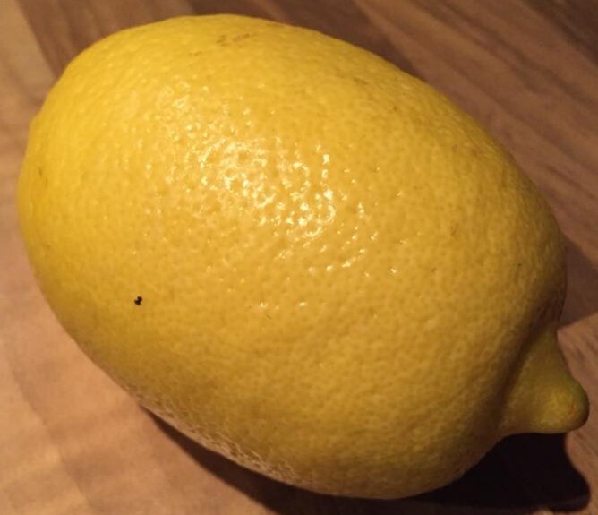 Large Lemons