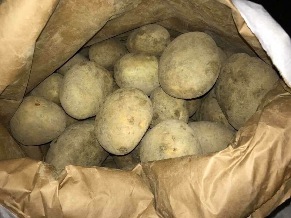 Potatoes Wilja 25kg Sack-