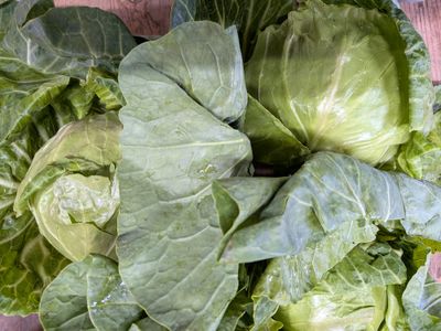 English Summer Cabbage