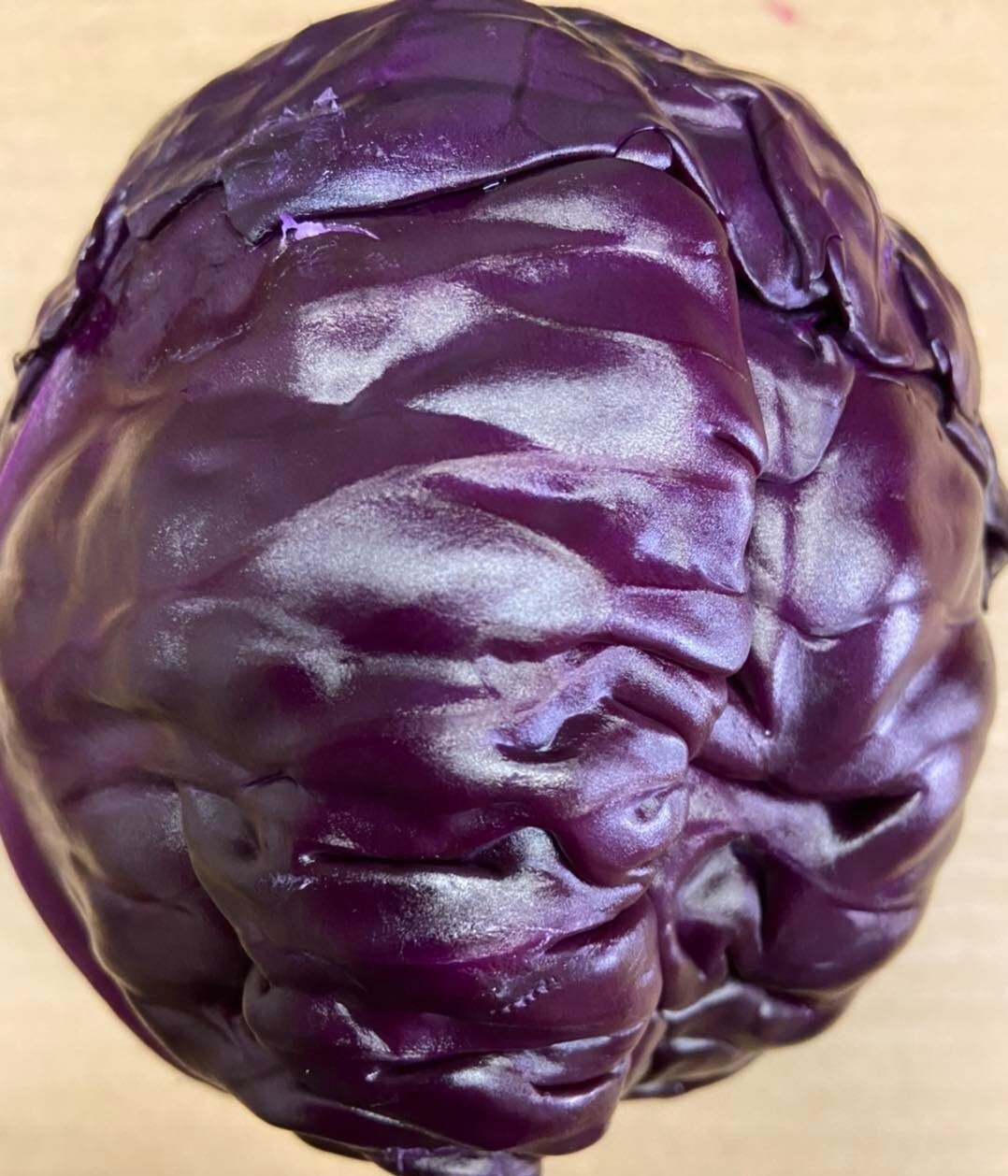 Cabbages - Red