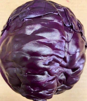 Cabbages - Red