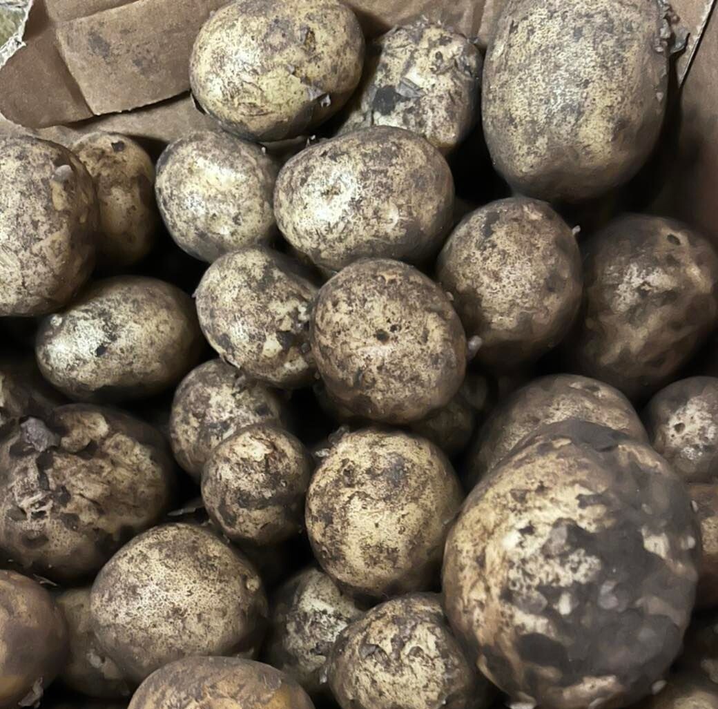 Potatoes - per kg