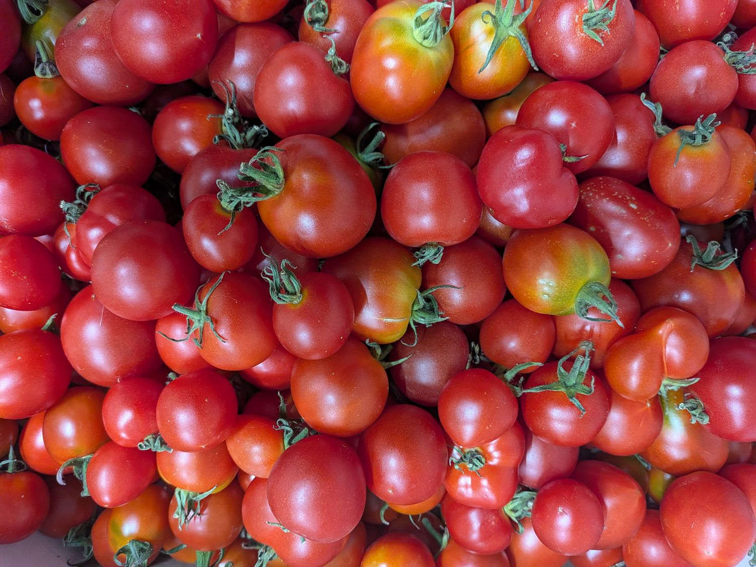 Local Loose Cherry Tomatoes