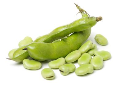 Broad Beans -500g