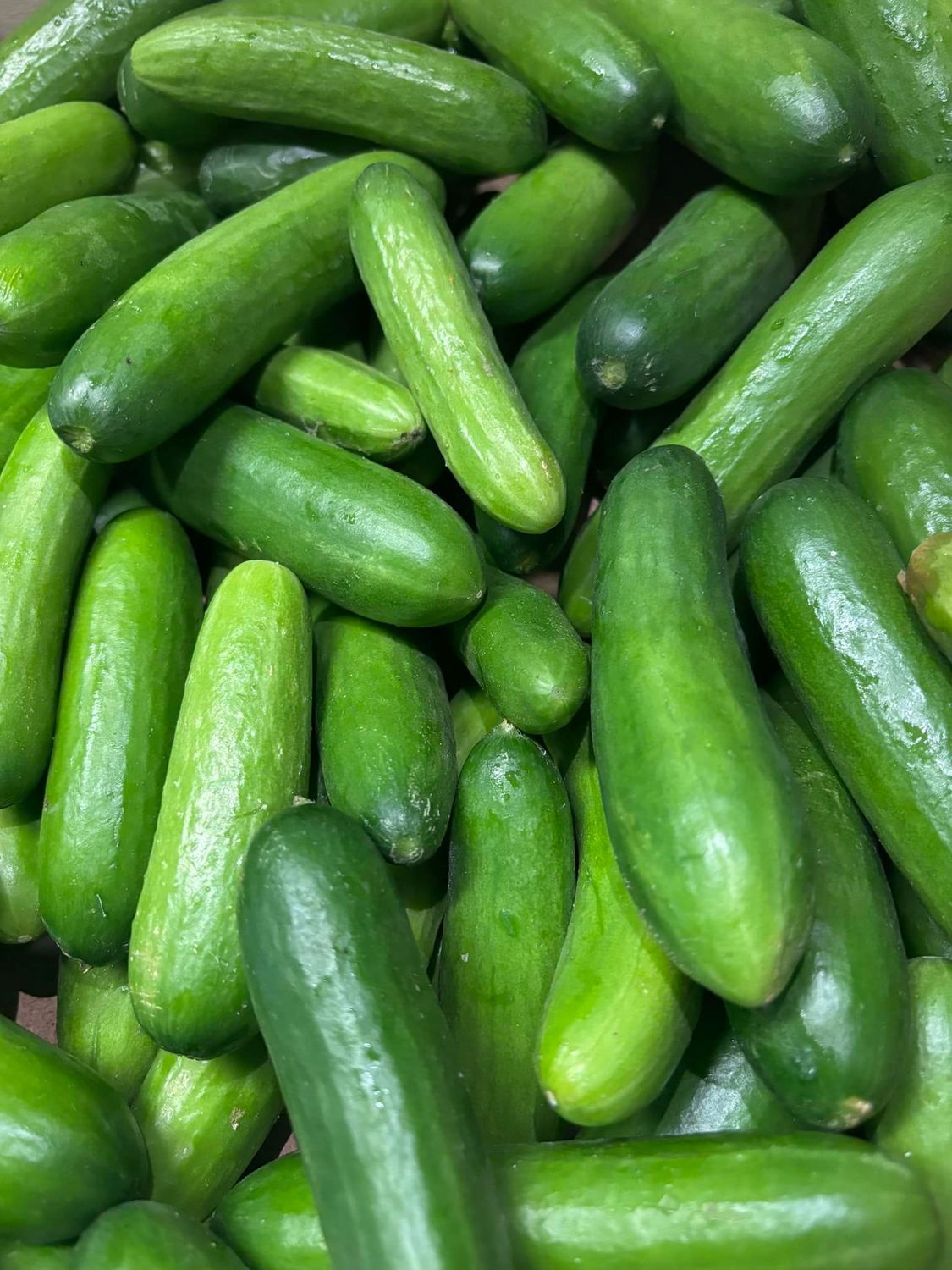 Snack Cucumbers - 200g Limited Availability