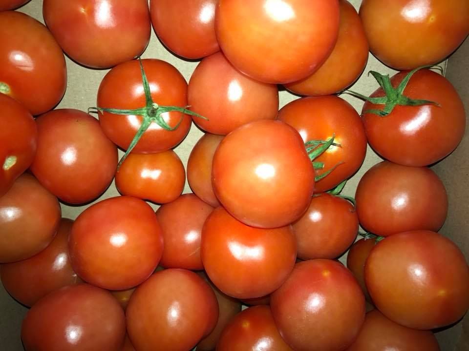 Salad Tomatoes