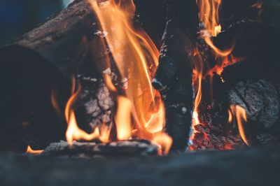 Net of Logs