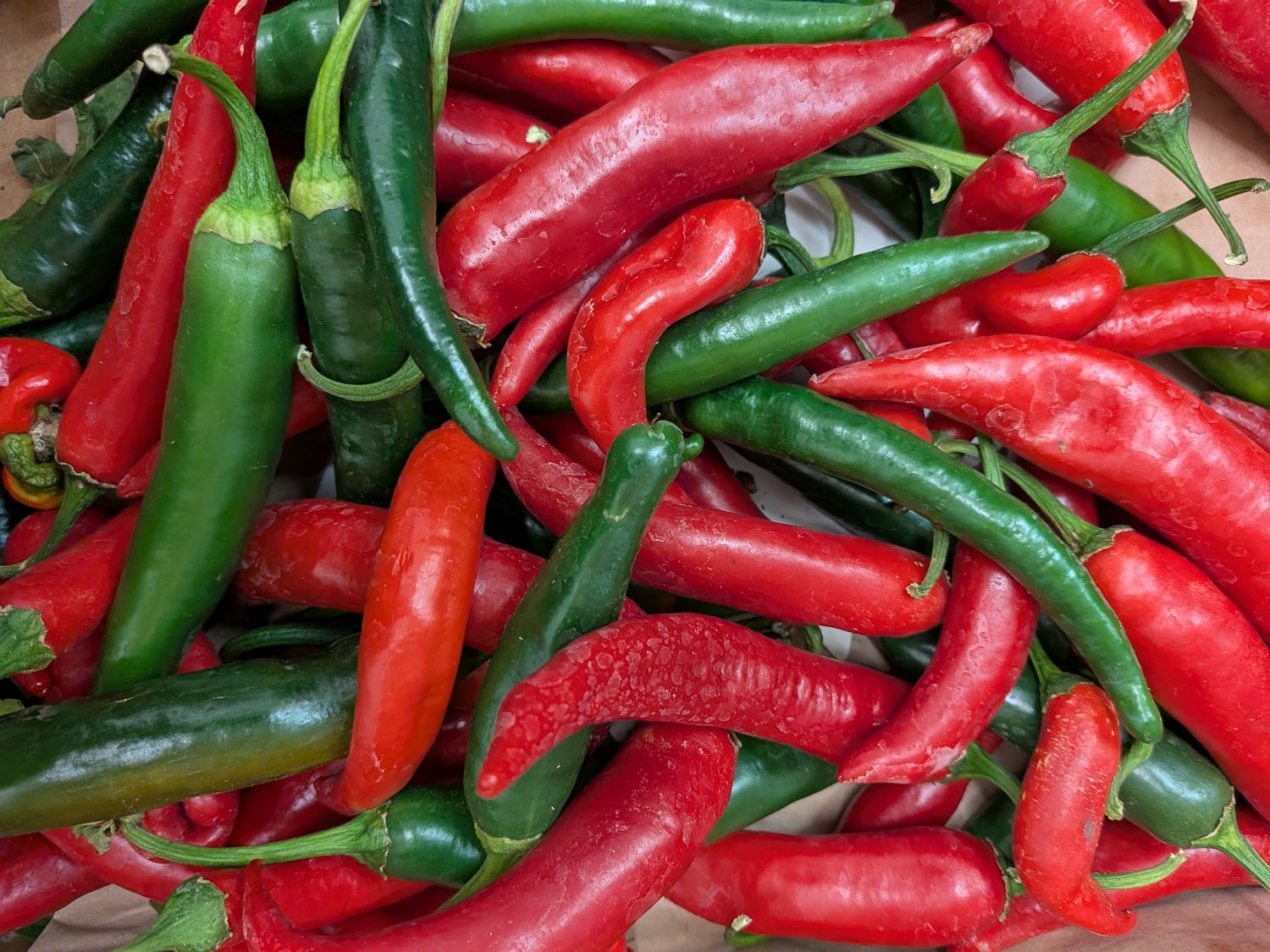 Local Mixed Chillies - per kg