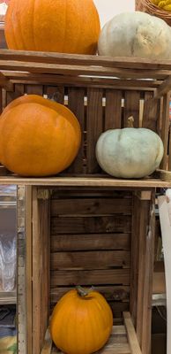 Pumpkin - Orange (Local)