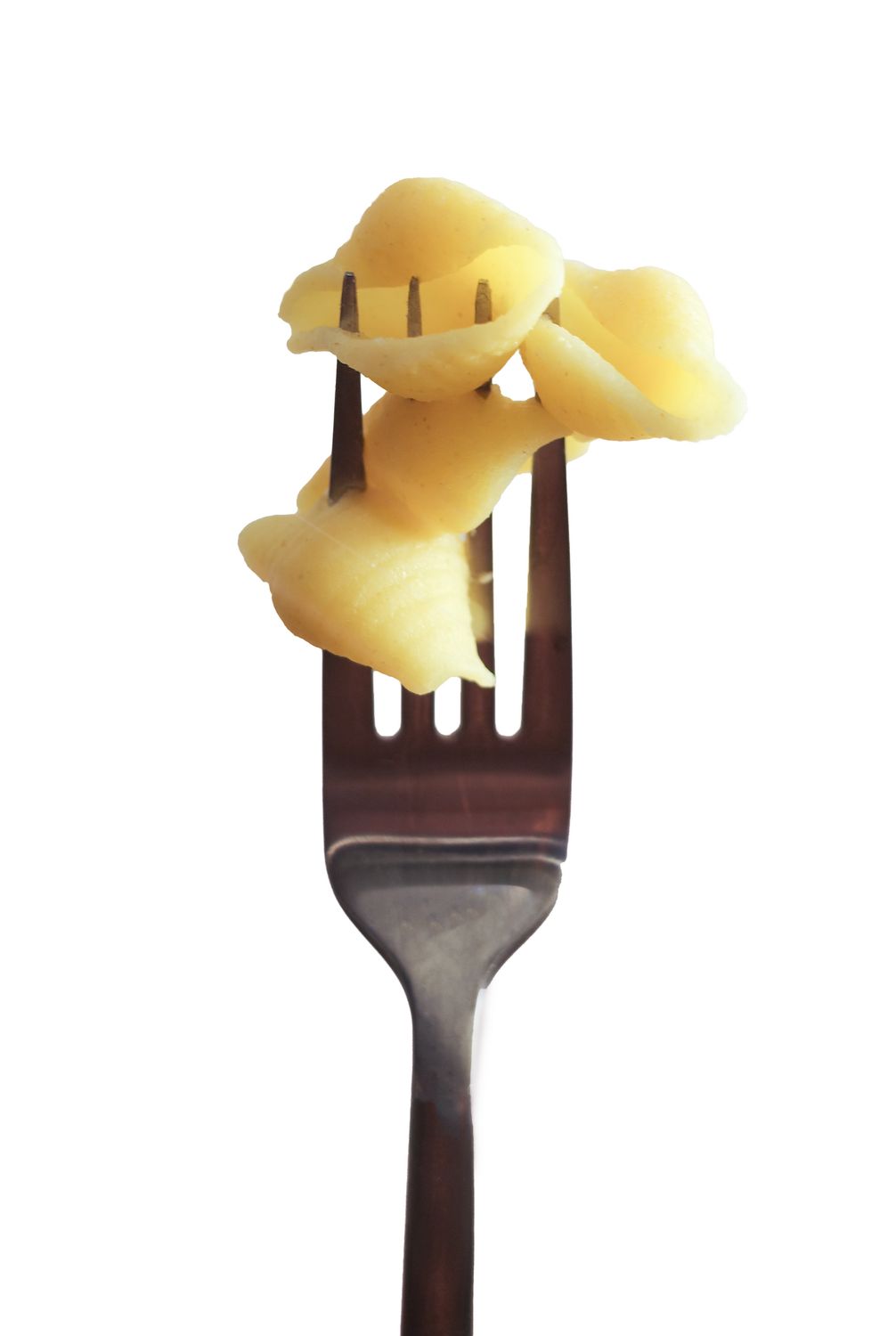 Conchiglie