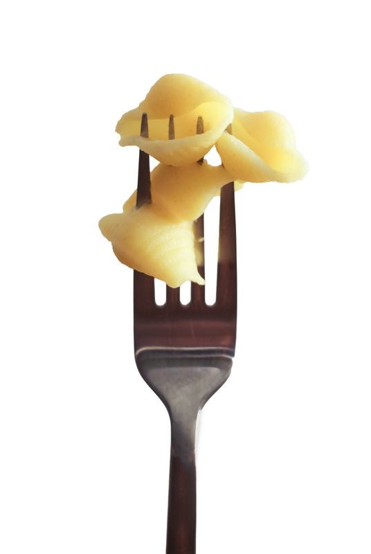 Conchiglie