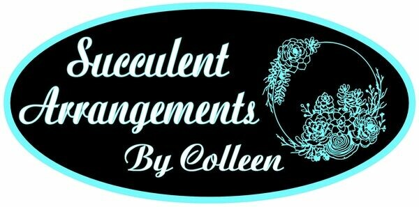 Succulent Arrangements by Colleen
