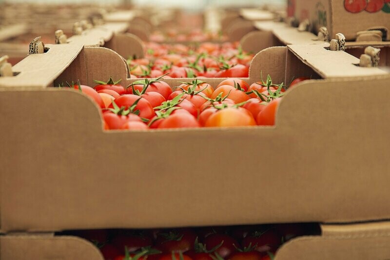 Empaque – Alimentos