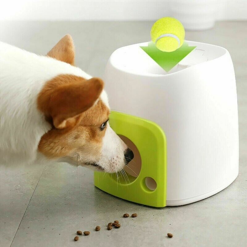 Dog reward machine toy