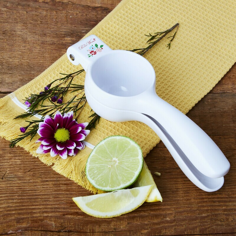 Handheld Cast Citrus Press Juicer with Filter